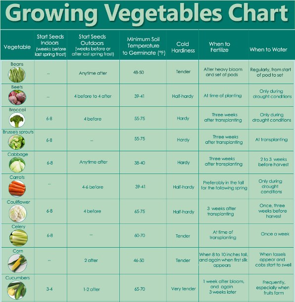 The Homestead Jones Guidelines For Growing Vegetables